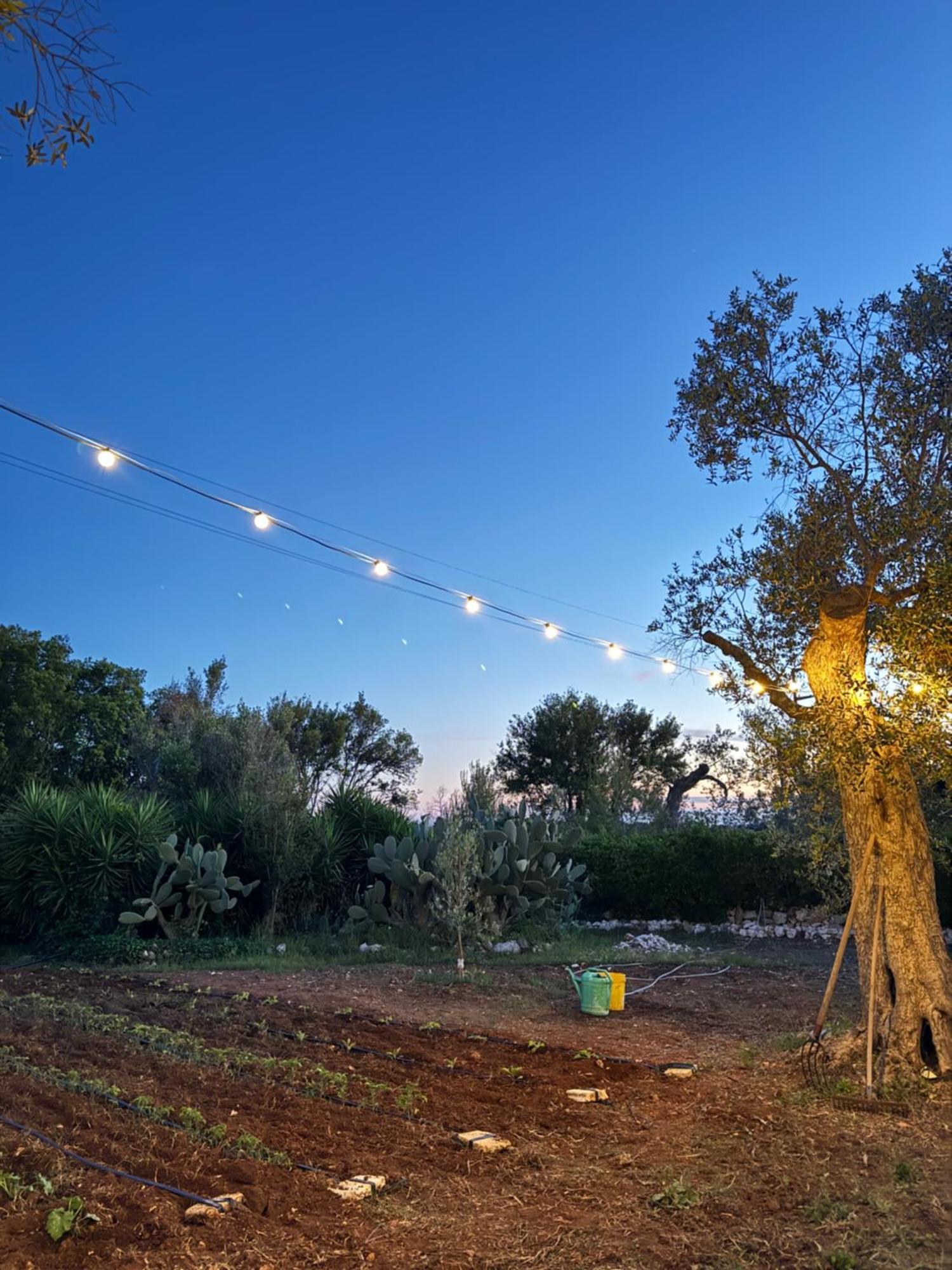 Dimore Opuntia Holiday home Spongano